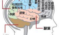 怀孕癫痫者要注意哪些问题